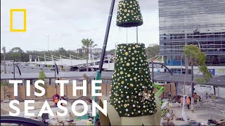 Christmas Down Under | Inside Sydney Airport | National Geographic UK