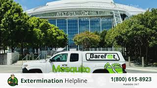 Top 3 Exterminators in Euless