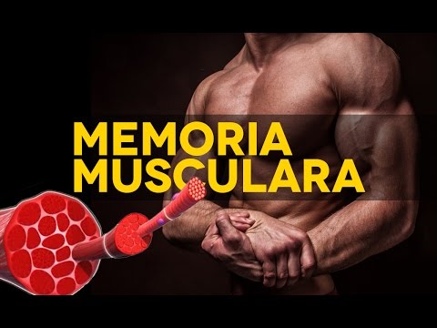Video: Ce Este Memoria Musculară