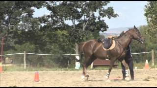 MOUNTED GAMES ??? screenshot 5