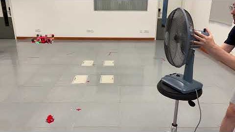 Active disturbance rejection controller for a quadrotor transporting a cable-suspended load