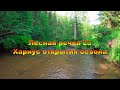 Лесная речка&#39;23.  Хариус открытия сезона