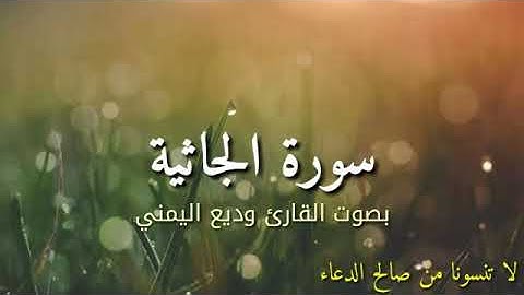 سورة الجاثية بصوت القارئ وديع اليمني