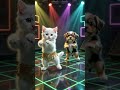 Cat vs dog dance competition#cat#dog#dance