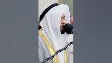 الشيخ أحمد النفيس من سورة فاطر
