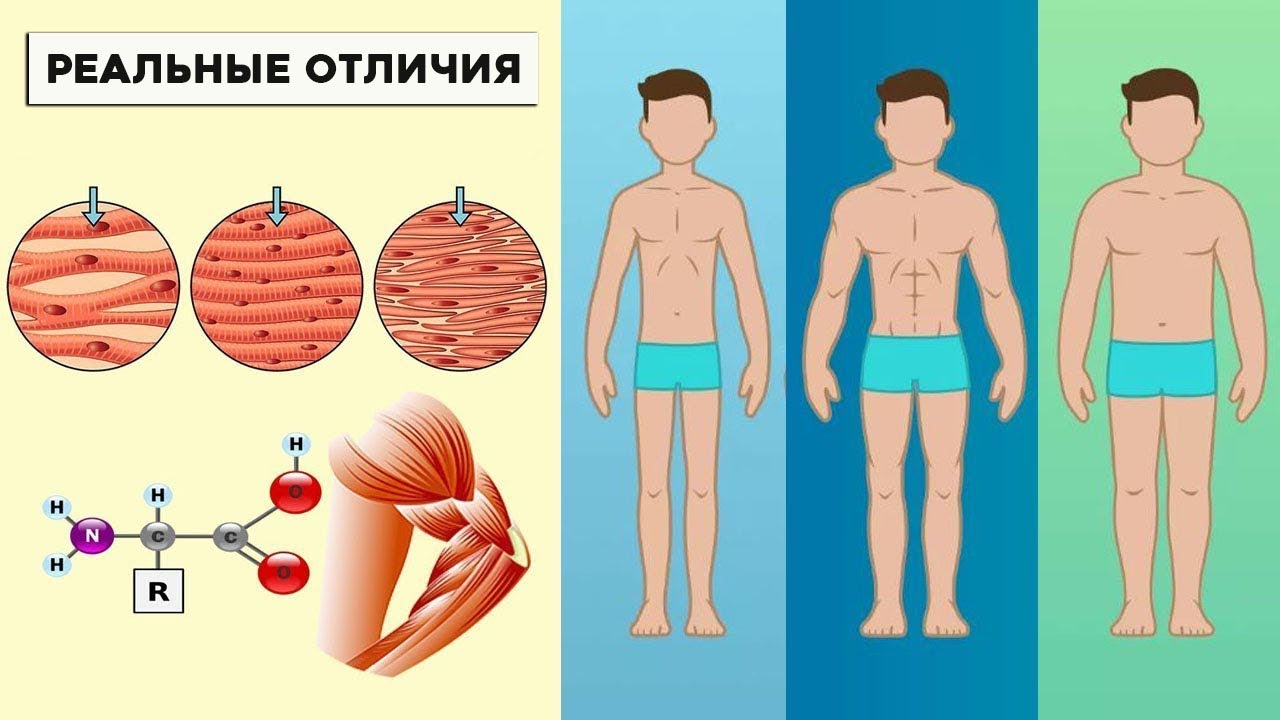 Чем Индивидуальная Программа отличается от Обычной - YouTube