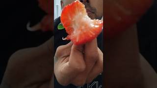 my first video eaten strawberrys?🍓