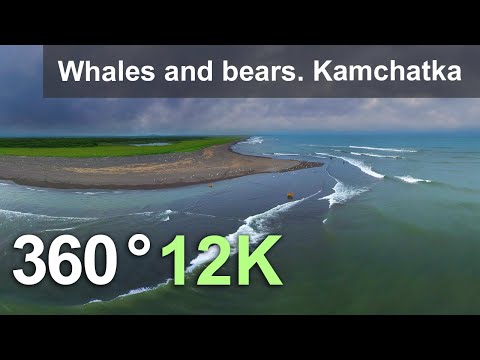 Video: UFO I Kamchatka Nature Reserve - Alternativ Visning