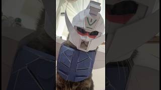 ターンニャーンガンダムでいいですか？　# #cat #コスプレ #gundam