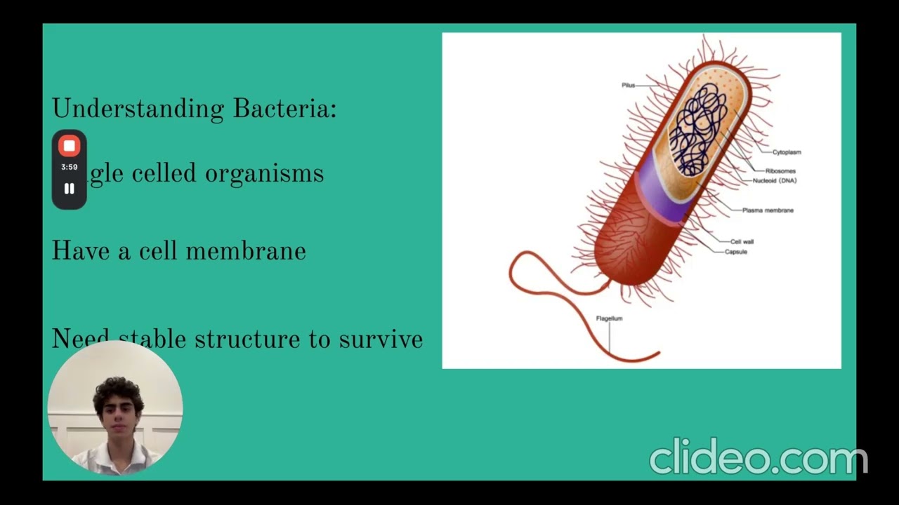 Maz Saririan chem research project video presentation