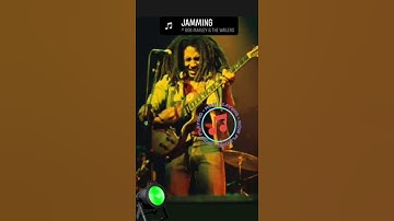 Thumbnail of Bob Marley Jamming