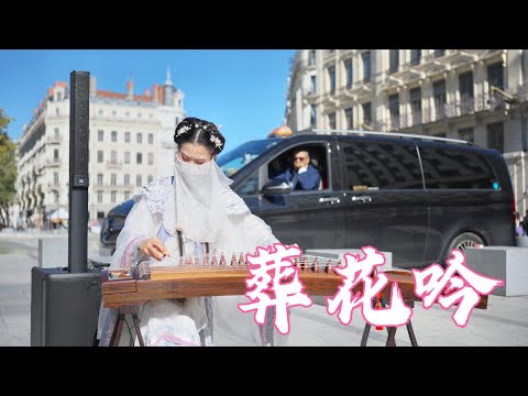 一曲 葬花吟 多少辛酸泪 Chinese Instruments Guzheng Cover 碰碰彭碰彭Jingxuan 