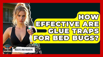 How Effective Are Glue Traps For Bed Bugs? - Insects and Invaders