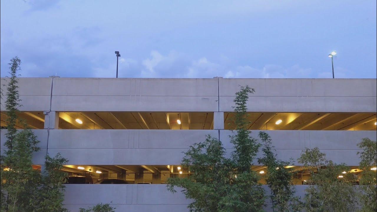 Hundreds of Bats fly out of parking garage for the night YouTube