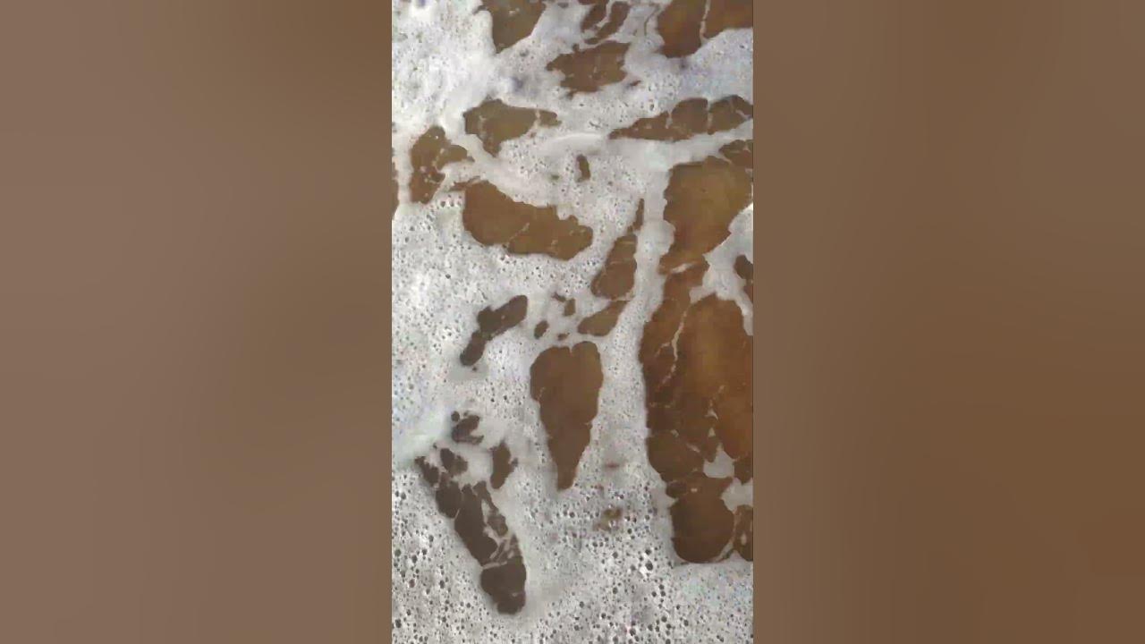 Plage Sable d'OR with RYM - Jayeb Khbari Music Audio