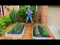 Front Yard RAISED BED Garden with AUTOMATIC Irrigation!