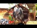 We Cooked 100s Of Fish In Hot Oil Building A Homemade Outdoor Oven For MyFamily African Village 
