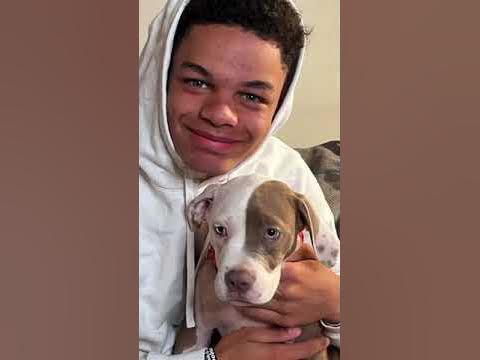 Happy Birthday Dayshawn Dougherty Dozen xl bully puppy - YouTube