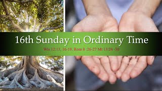 16th Sunday In Ordinary Time/  Homily/ The Kingdom of God.
