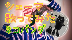 ネコパンダ Youtube