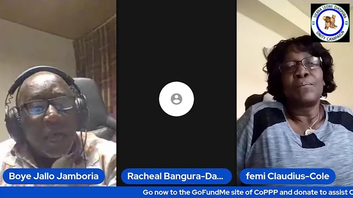 Elections 2023:Diaspora's Role in Voters Registration in Collaboration with CoPPP