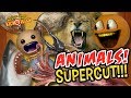 Kick the Buddy: ANIMALS Supercut!!