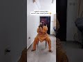 wait for it #everyone #funny #comedy #fyp #viral_video #highlights #reels #asirination #Commenters