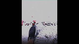 Shoes Vs Feet This Is So Random