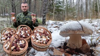 ГРИБНИК ЗАШЁЛ В ЛЕС И ВПАЛ В СТУПОР ТАКОГО НЕ ОЖИДАЛ ! ГРИБЫ ЗИМОЙ? ДА ЛАДНО