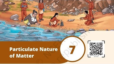 Particulate Nature of Matter | Chapter 7 | Class 8 Science | NCERT Curiosity | Explanation in Hindi