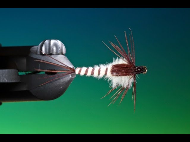Fly Tying a Large mayfly nymph with Barry Ord Clarke - YouTube