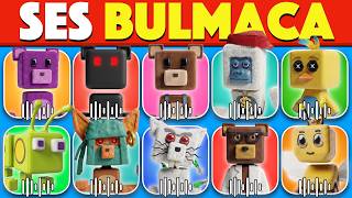 Süper Ayı Ses Bulmaca 🐻‍❄️🐥| 🔊 Shicka, Capitalos, Yeti, Shicka | Super Bear Adventure Quiz 🎮
