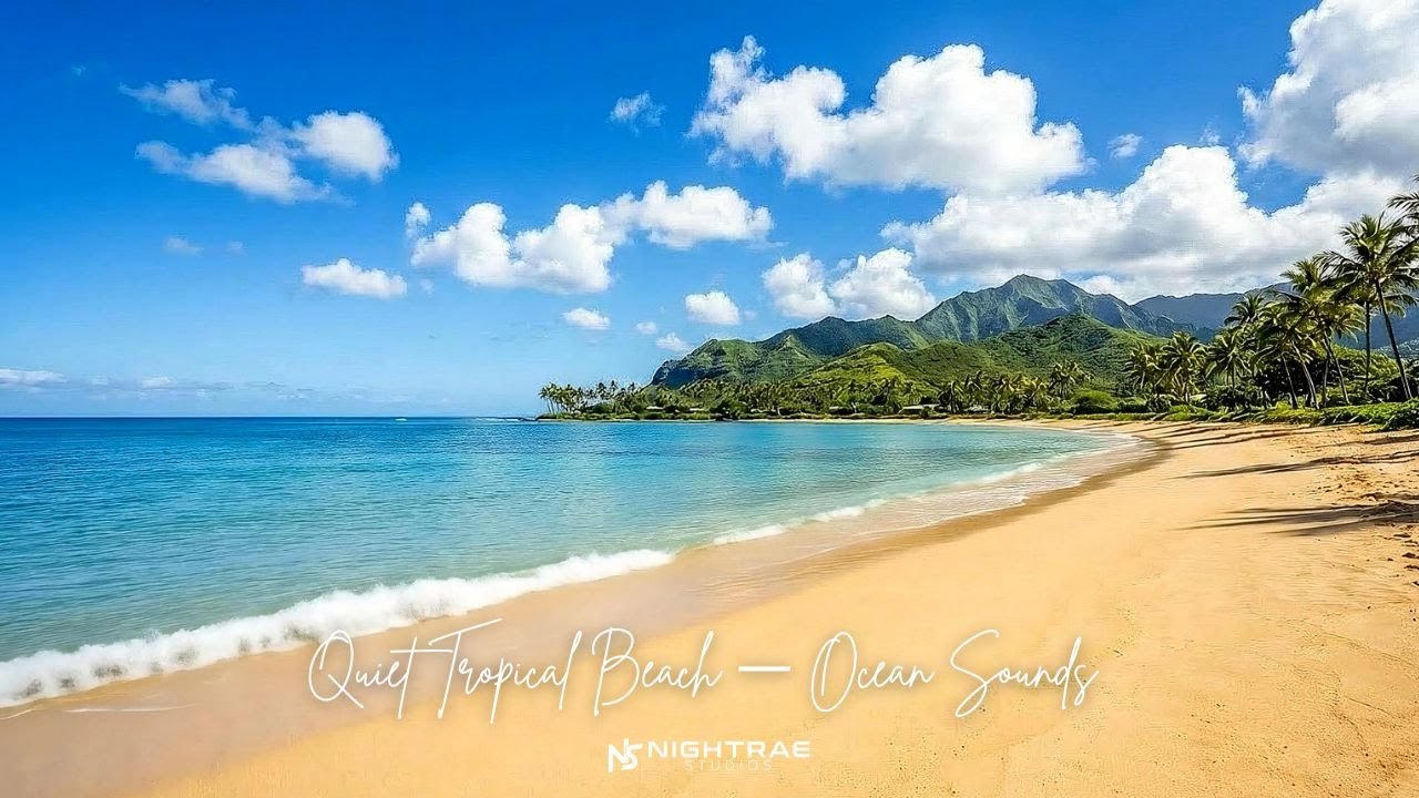 8 Hours of Relaxing Beach Waves | Tropical Shore Ambience (No Music)