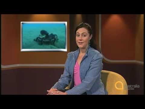 Study English - Series 1, Episode 23: Octopuses