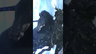 Bahamut VS Odin in Final Fantasy 16 #SHORTS