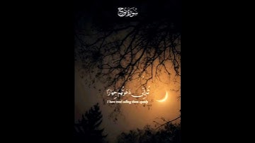 سورة نوح بصوت القارئ ماهر المعيقلي