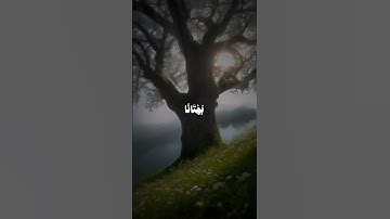 سورة الأحزاب | الآية 58.