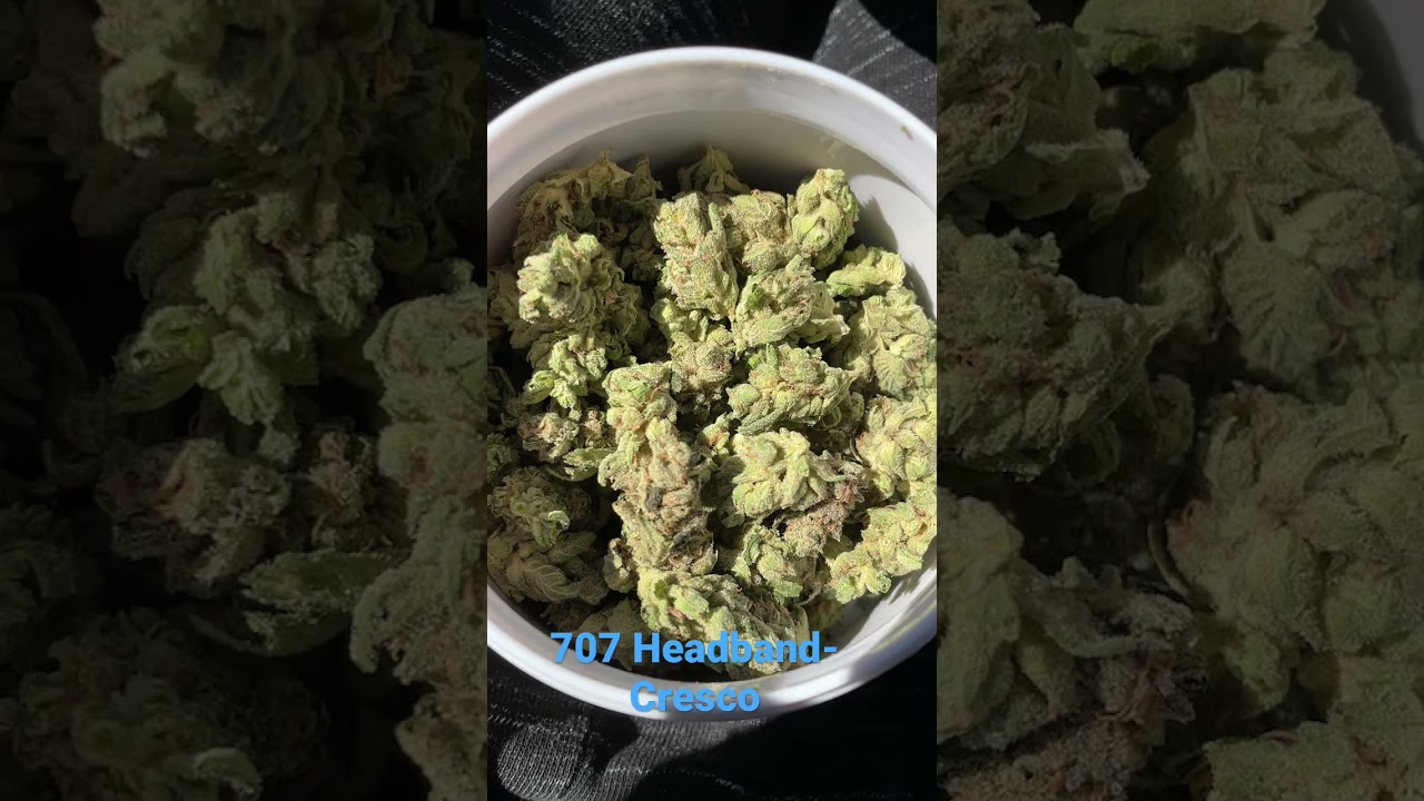 707 Headband- Cresco