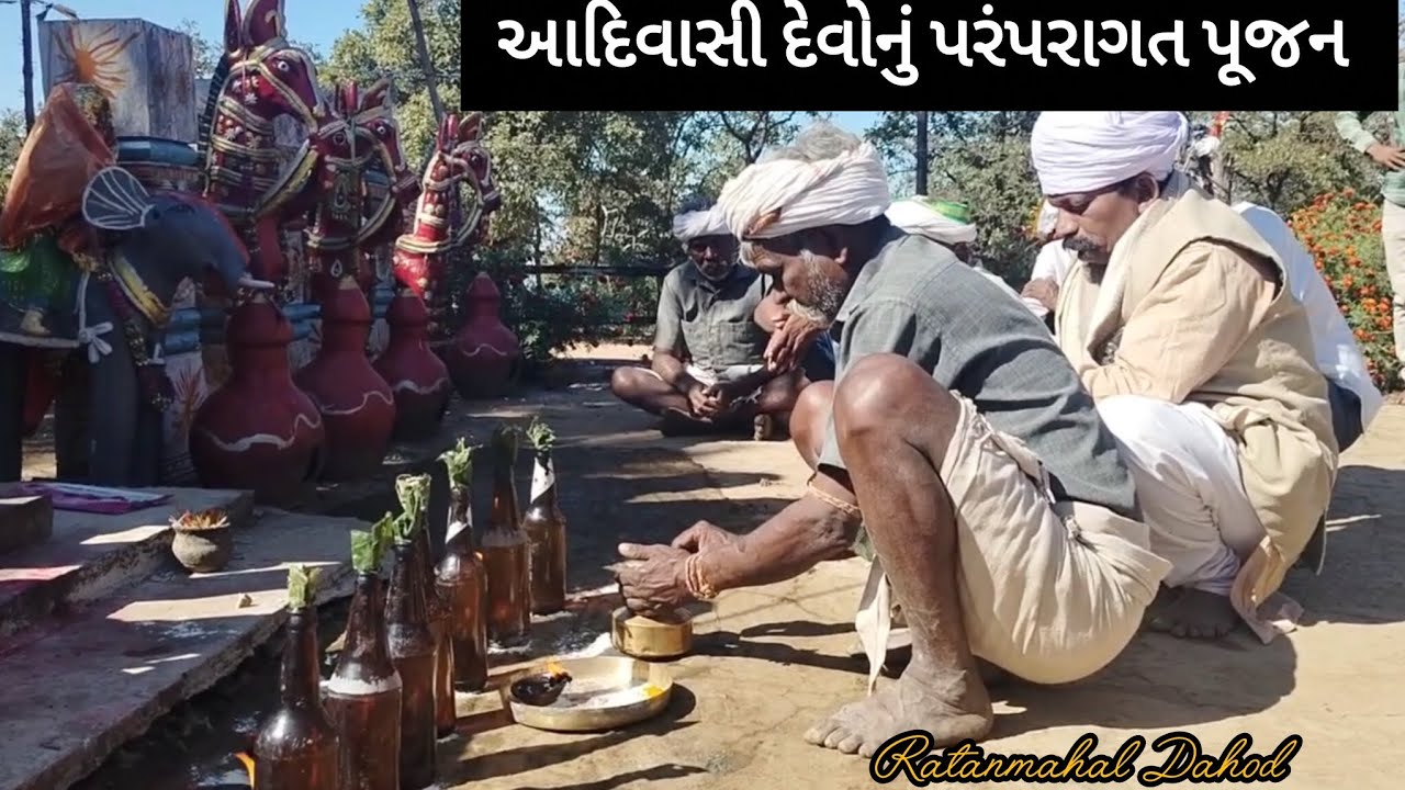 આદિવાસી દેવોનું પરંપરાગત પૂજન//