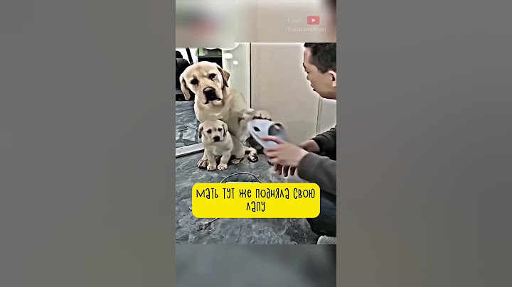 Это Видео Разбивает Сердце 💔
