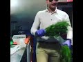 يلي بحب النعنع مسخرة يلي بحب النعنع مسخرة