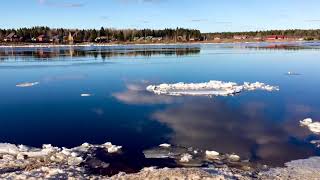 Красивая река Кубена  Ледоход практически закончился. ☀️ 12.04.2020.