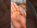 Yellowing cobra male guppy fish growth time stages #fishshorts #guppyfish #shortsfeed #ytshorts