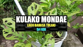 Kulako Mondae | Lagu Bahasa Tolaki | Karaoke