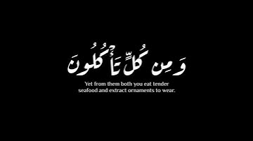 (وما يستوي البحران هذا عذب..)| سورة فاطر | محمد أيوب #krumat #كرومات #شاشه_سوداء #quran