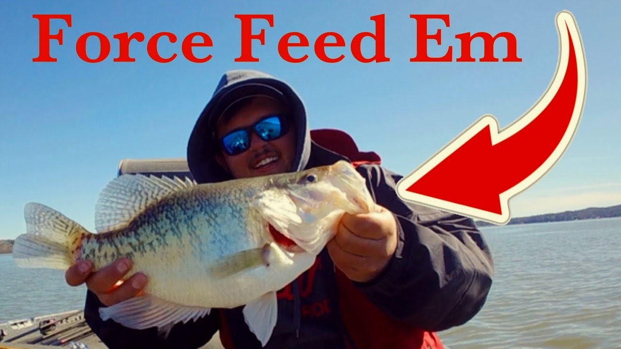 EP 1. Pickwick Perch Jerkin March 2025 Crappie Fishing