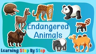 ABC Endangered Animals | Interesting and Educational Endangered Species Facts