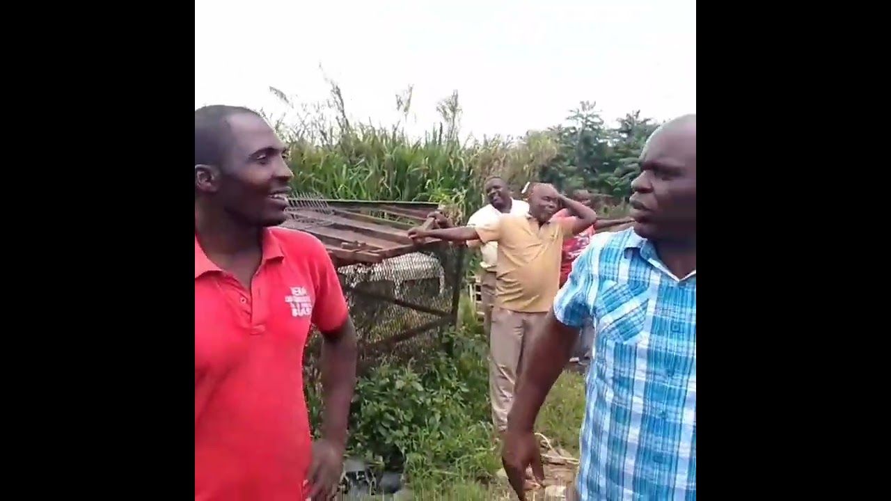 Setere wanetsa paChipinge