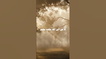 بدر التركي || سورة الشعراء