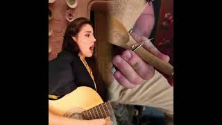 In Some Ways... I Am A Cat Person.